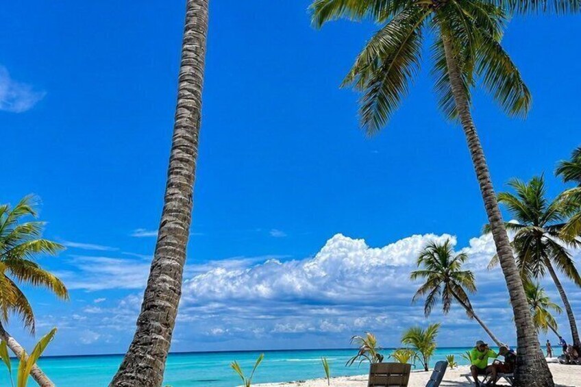A beach with palm trees and a clear blue sky. 3