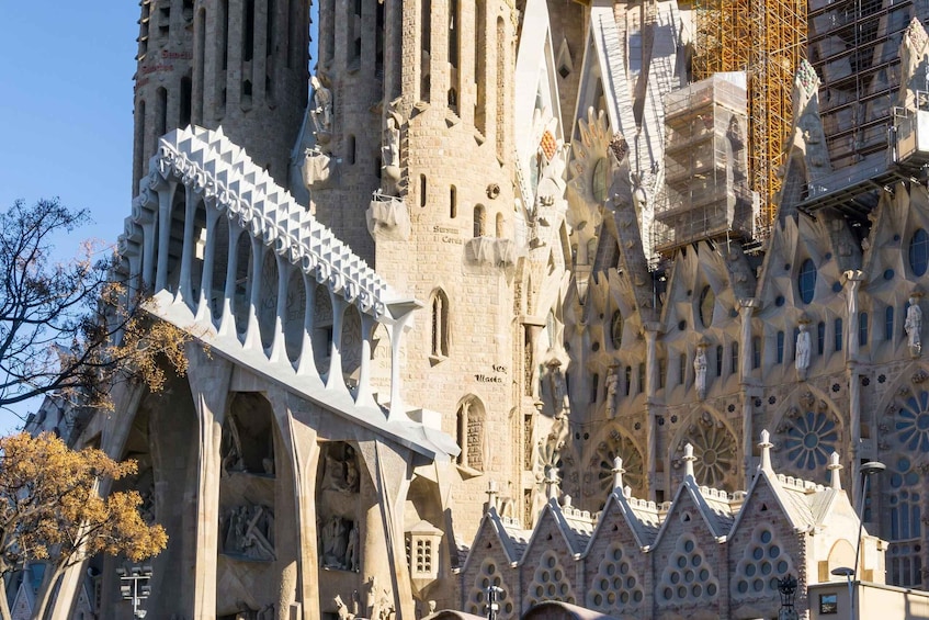 Picture 2 for Activity Gaudí Comes Alive: Dramatized Sightseeing Tour of the Exterior of the Sagrada Familia 5