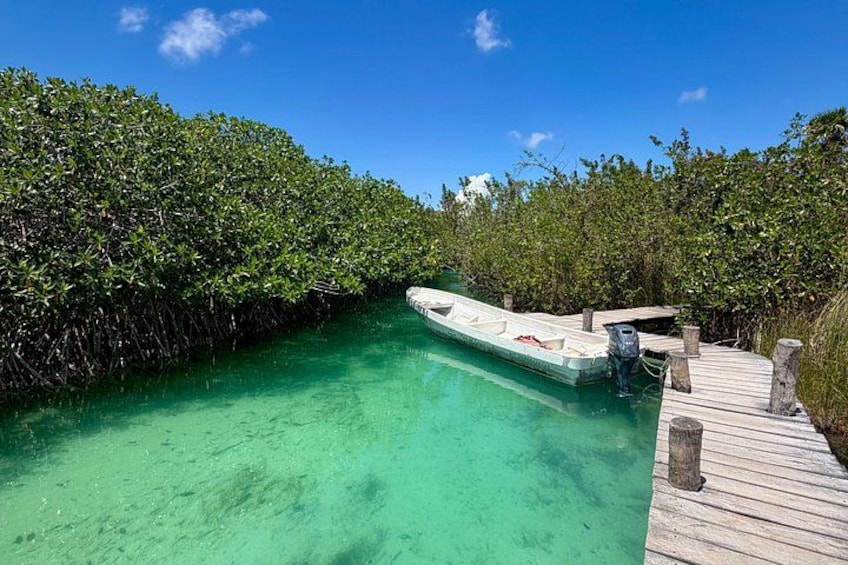A clear turquoise water body, a small boat docked on a wooden pier, and dense mangrove foliage. 5