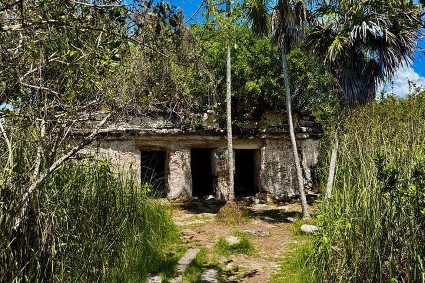 An ancient stone structure with two doorways, surrounded by dense tropical vegetation. 4