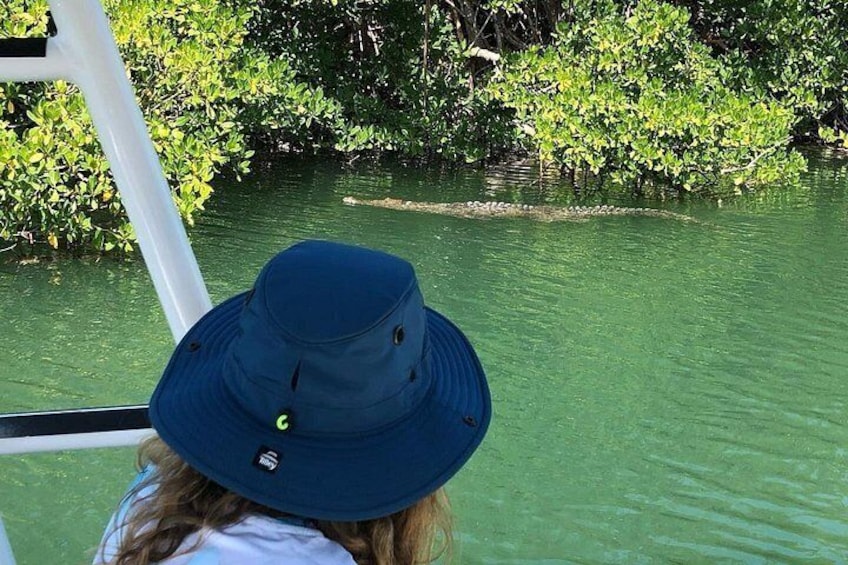 4 Hour Private Ecotour and Snorkeling Boat Tour 2