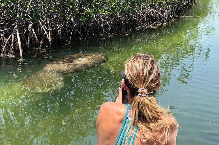 4 Hour Private Ecotour and Snorkeling Boat Tour 5
