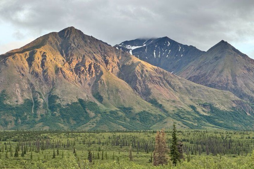 Seward to Anchorage Glacier and Wildlife Tour 4