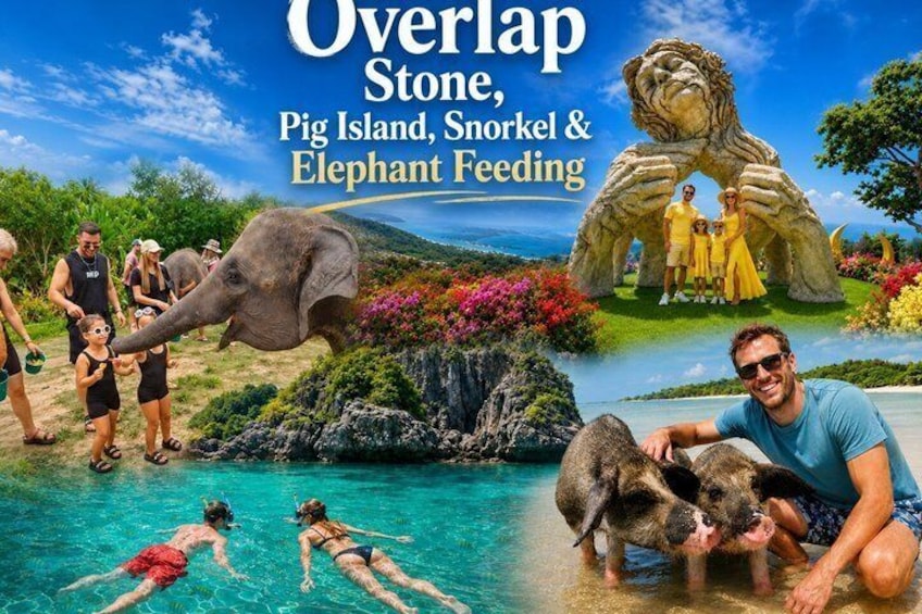 Koh Samui: Overlap Stone 2, Pig Island, Snorkel ,Elephant Feeding 1