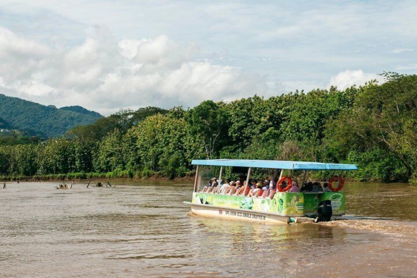 Adventure in the jungle river and crocodiles 1