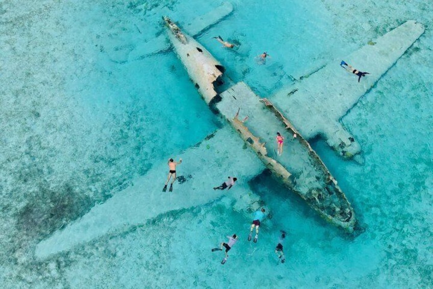 Epic Exuma Escape: Swimming Pigs, Sharks & Beyond | Full Day 2