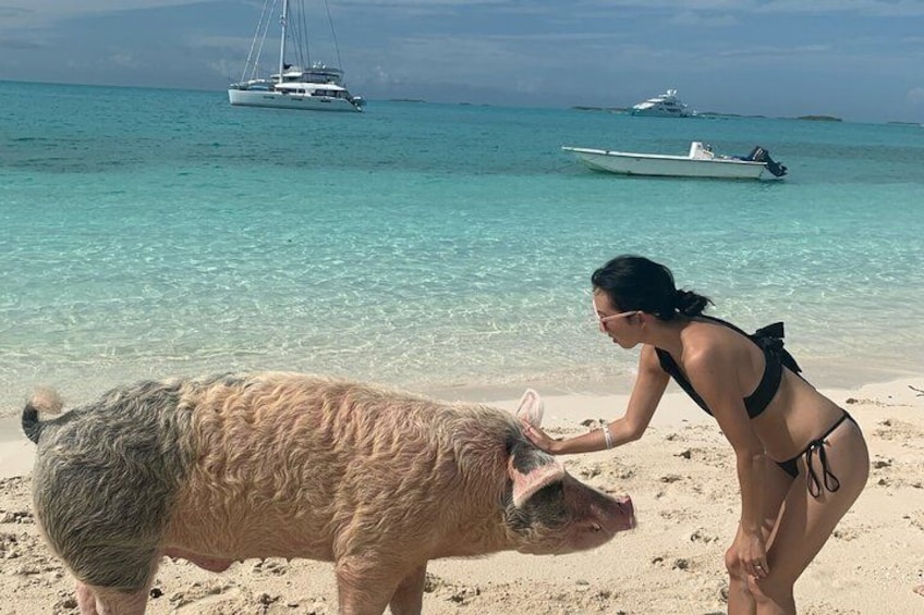 Epic Exuma Escape: Swimming Pigs, Sharks & Beyond | Full Day 5