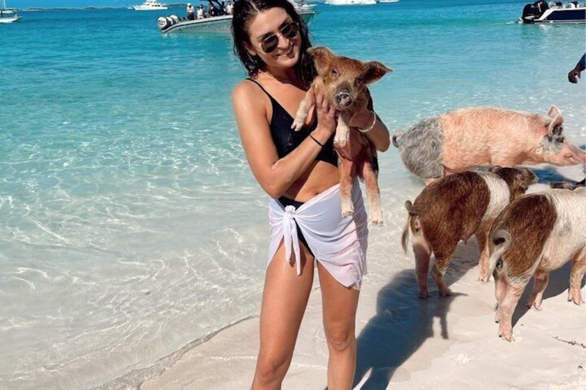 Epic Exuma Escape: Swimming Pigs, Sharks & Beyond | Full Day 1