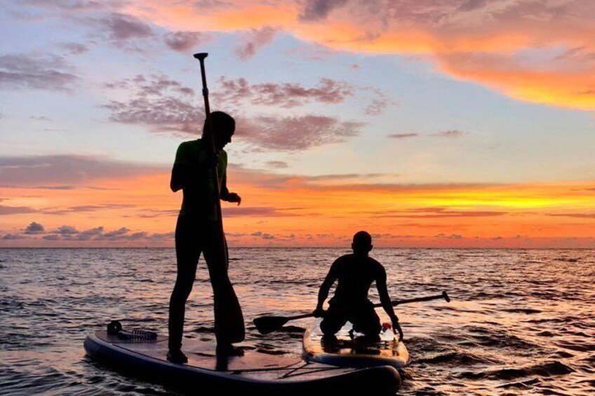 Venture over the Caribbean waters in a Paddleboarding class 5
