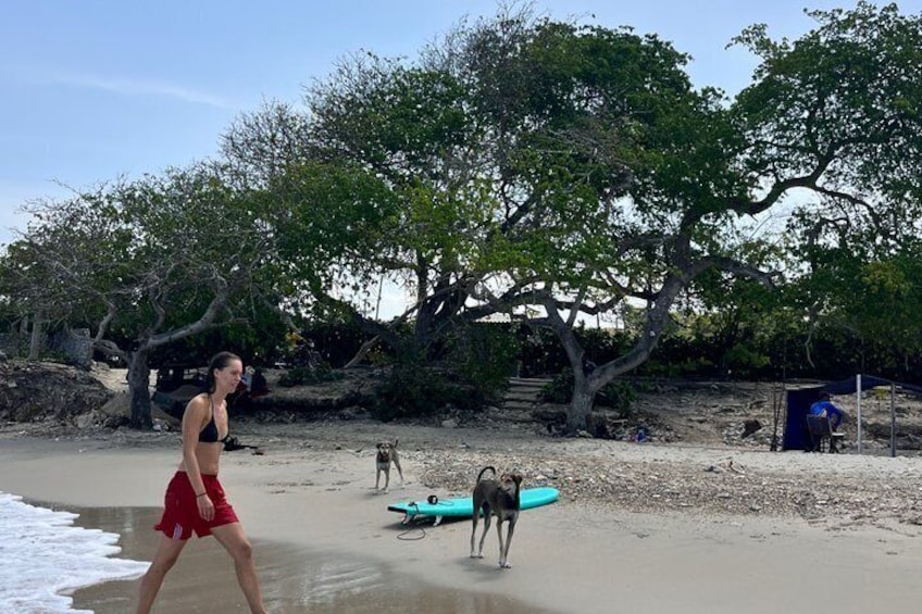 Venture over the Caribbean waters in a Paddleboarding class 2