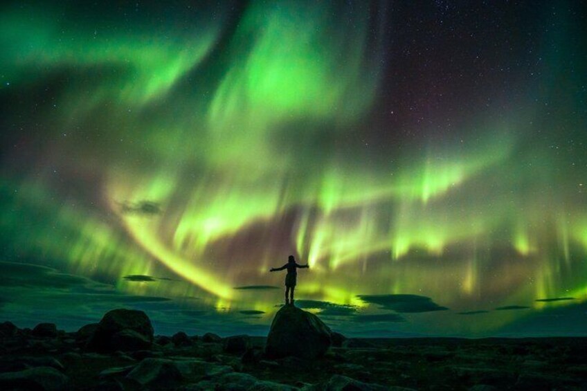 Reykjavik: Aurora Hunt with Expert Meteorological Planning 2