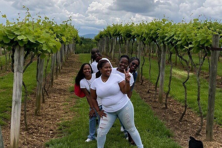 Private Wine Tour in North Georgia Ellijay 3