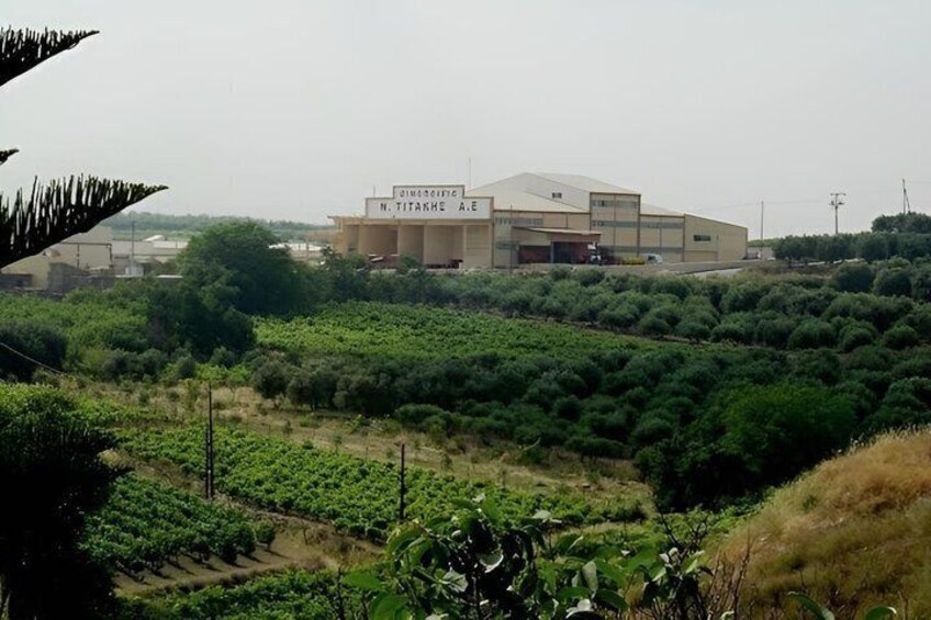 A building labeled 'N. TITAKHE A.E.' amidst a green landscape with dense vegetation. 4