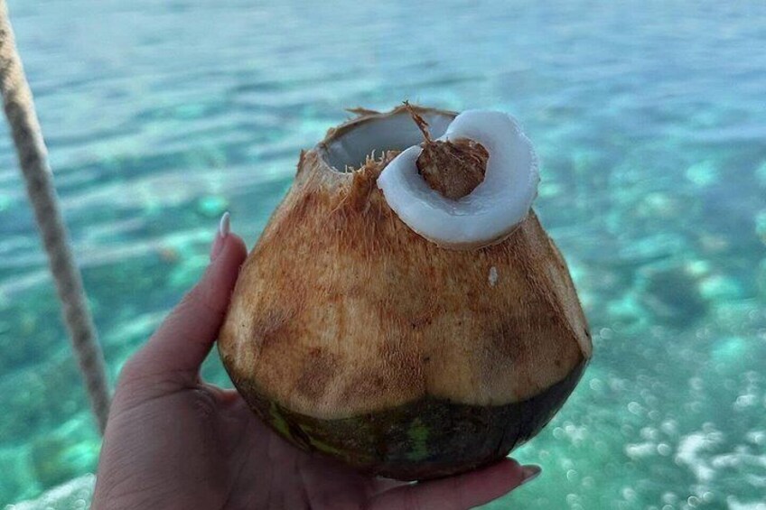 A hand holding a coconut with a white top, palm tree, and clear water in the background. 1