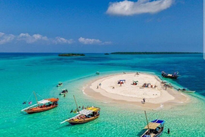 Dolphin Snorkeling and Pungume Island with Lunch and Transfer 1