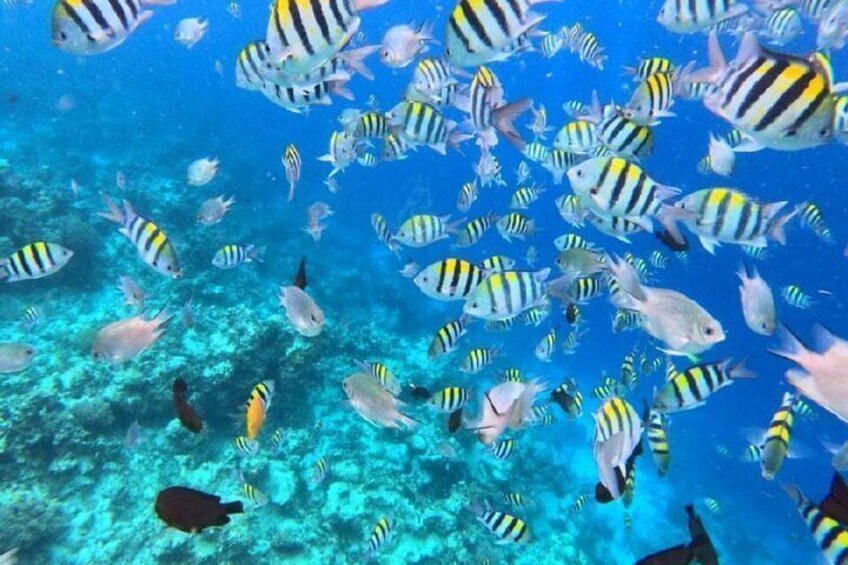 Pungume Island Zanzibar Exclusive Private Day Trip 5