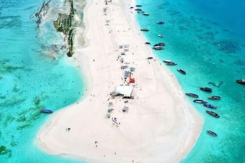 Dolphin Snorkeling and Pungume Island with Lunch and Transfer 2