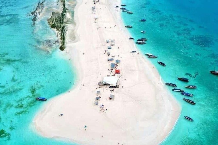 Dolphin, Snorkelling & Pungume Island with Lunch and Transfer 2