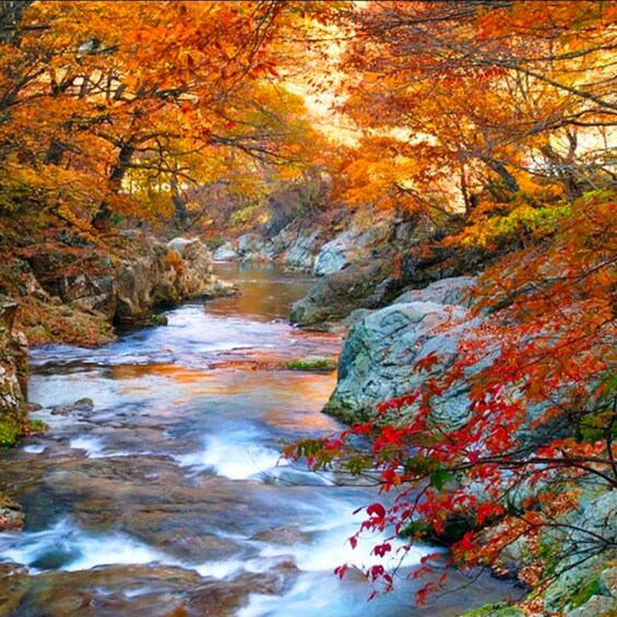 A river flowing through a forest with autumn foliage. 4