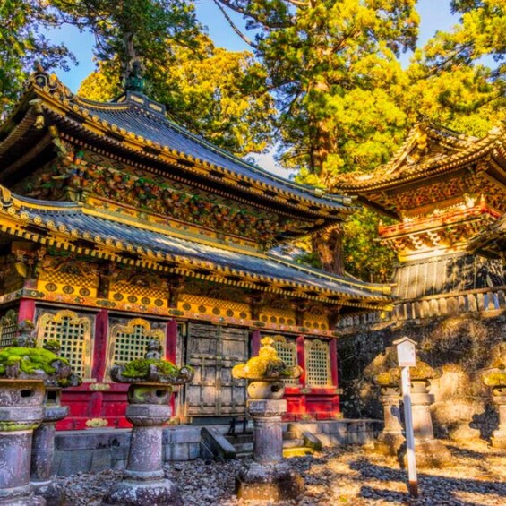 A traditional Japanese temple with ornate architecture, surrounded by lush greenery. 5