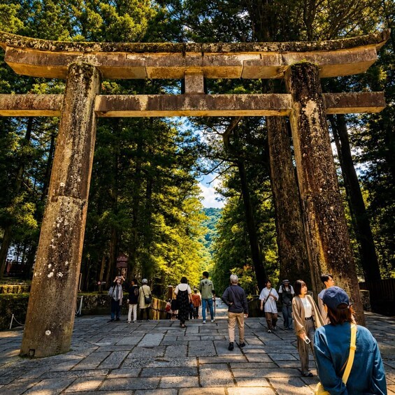 A traditional torii gate pathway in a forested area with people walking through. 2