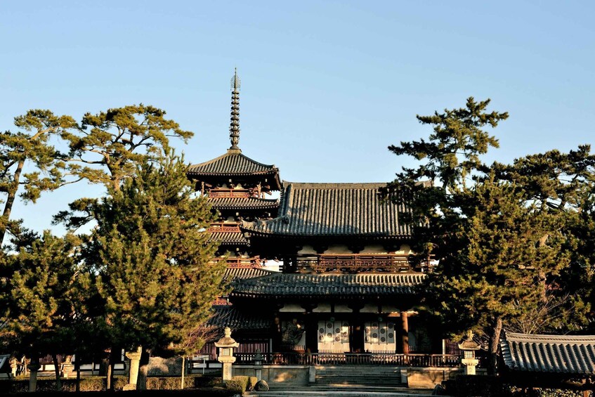 Nara: World Heritage Temple Tour with Lunch & Matcha 1