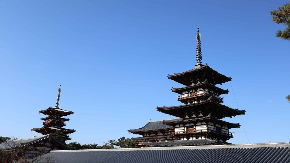 Picture 6 for Activity Nara: World Heritage Temple Tour with Lunch & Matcha 4