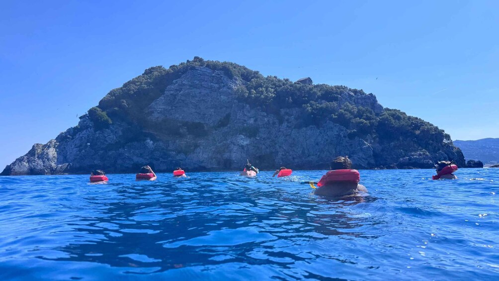 Picture 3 for Activity Savona: Ferry to Bergeggi and SNORKELING in the Marine Protected Area 4