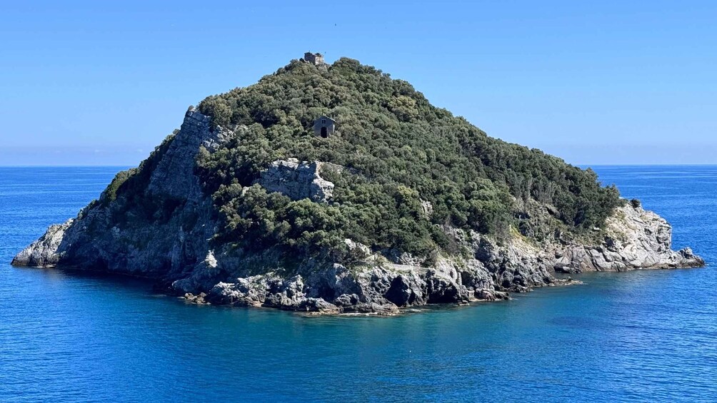 Picture 6 for Activity Savona: Ferry to Bergeggi and SNORKELING in the Marine Protected Area 2