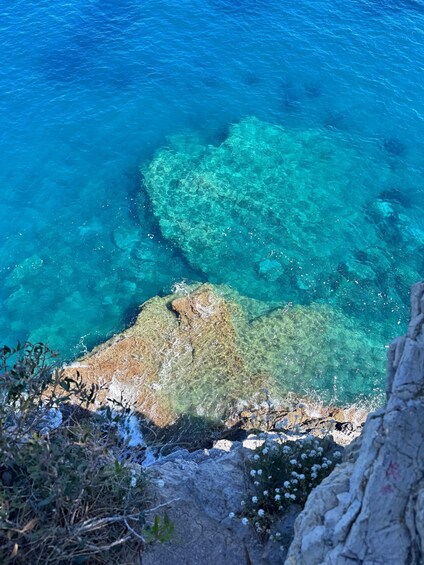 Picture 5 for Activity Savona: Ferry to Bergeggi and SNORKELING in the Marine Protected Area 3