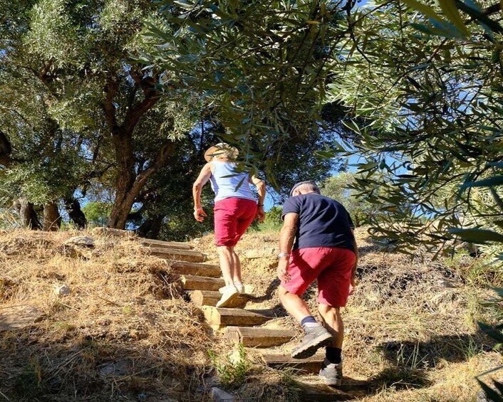 Picture 5 for Activity Bandol: Hike in the vineyards of Château Canadel + tasting 4