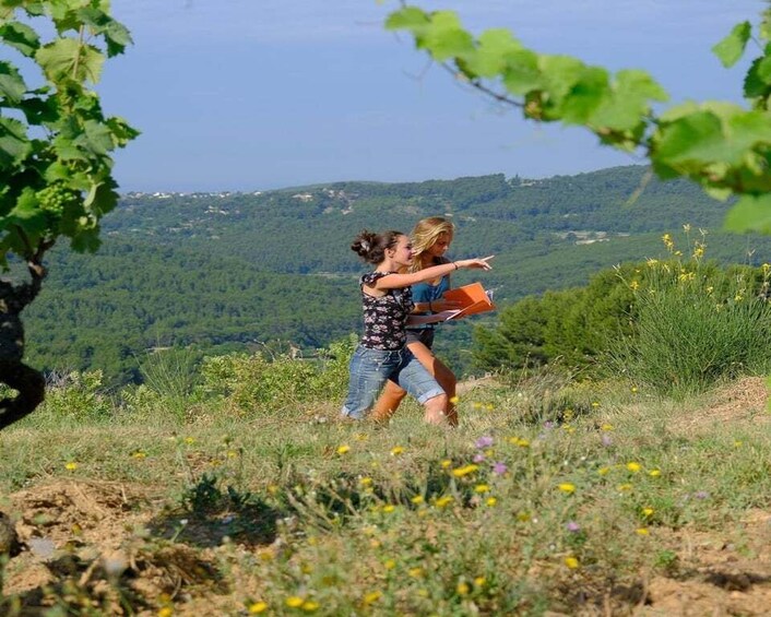 Picture 4 for Activity Bandol: Hike in the vineyards of Château Canadel + tasting 5