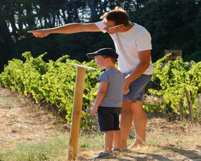 Picture 1 for Activity Bandol: Hike in the vineyards of Château Canadel + tasting 3