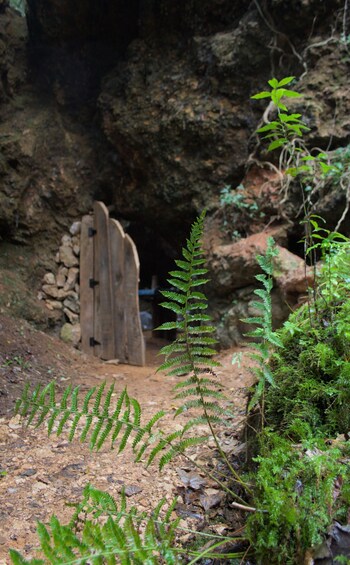 Picture 1 for Activity Udías-Cantabria Excursion and Workshop on Minerals and Rocks with Visit to a Mine 3