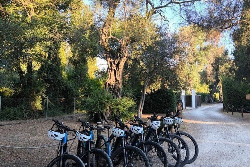 A gravel path lined with trees and bicycles parked on the side. 2