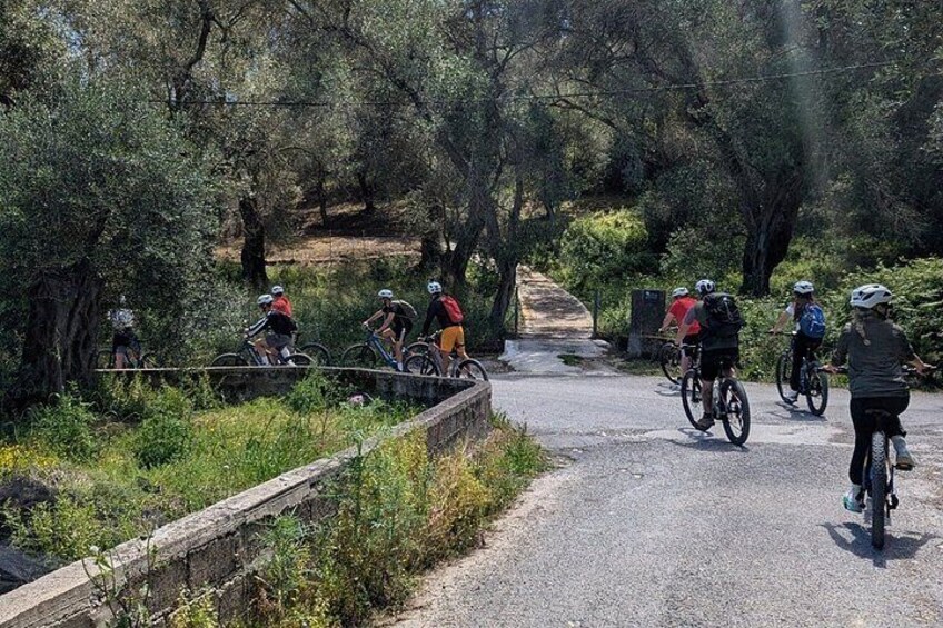 Guided EBike Adventure and Olive Oil Tasting in Corfu 5