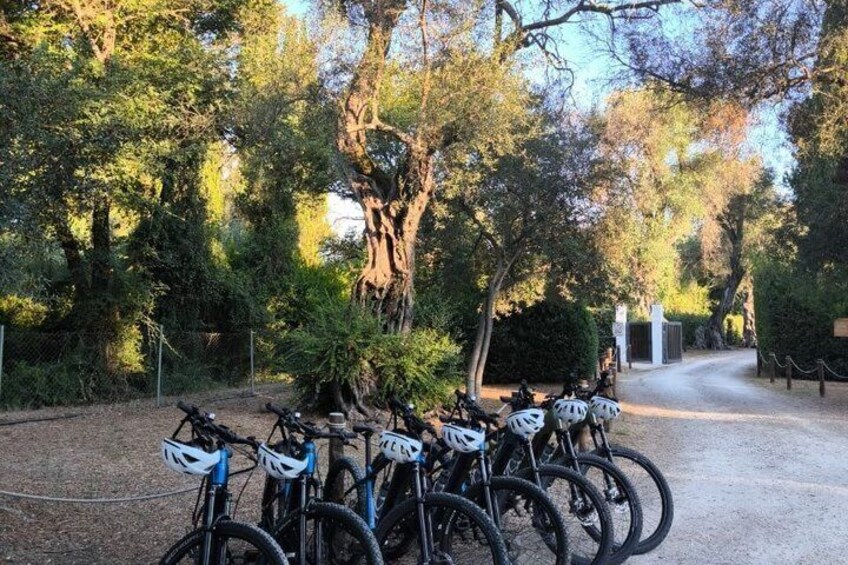 Guided EBike Adventure and Olive Oil Tasting in Corfu 2