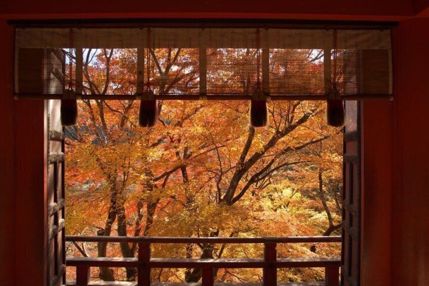 A window with a view of autumn trees. 3