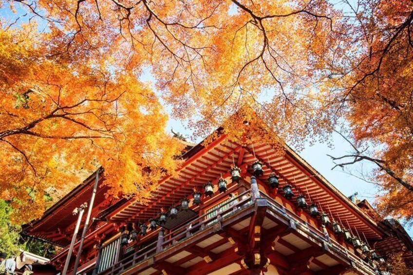 A traditional Japanese building with a red roof and ornate decorations, surrounded by autumn-colored trees. 4