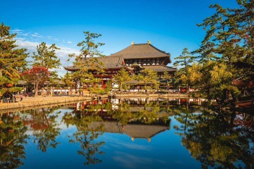 A traditional Japanese building with a reflection in the water, surrounded by trees and a clear sky. 5
