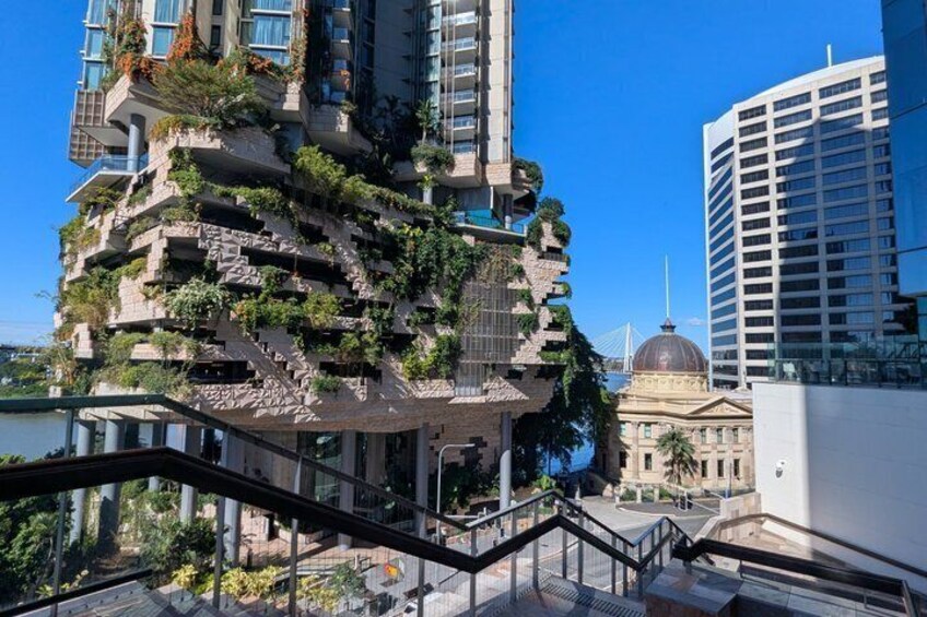 Brisbane Walking Tour with a Local Storyteller 3