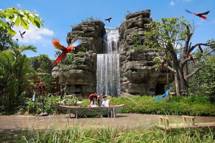 Bird Paradise - Free & Easy 1