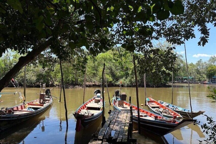 Foraging the Mangroves Surat Thani 2