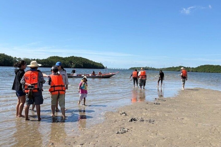 Foraging the Mangroves Surat Thani 3