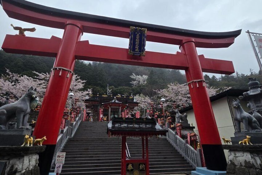 Private Hakone Discovery Castles Shrines and Onsen 2