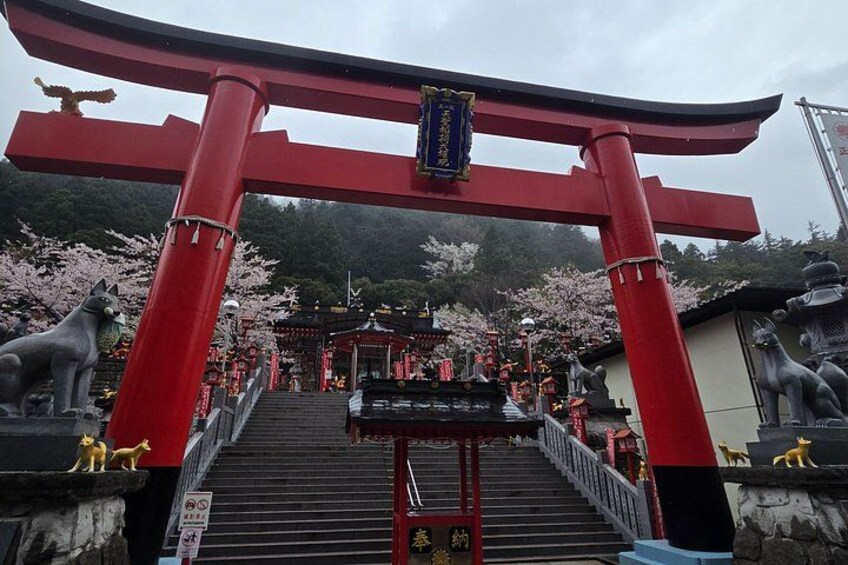A red torii gate leading to a shrine with cherry blossoms and statues of animals. 4
