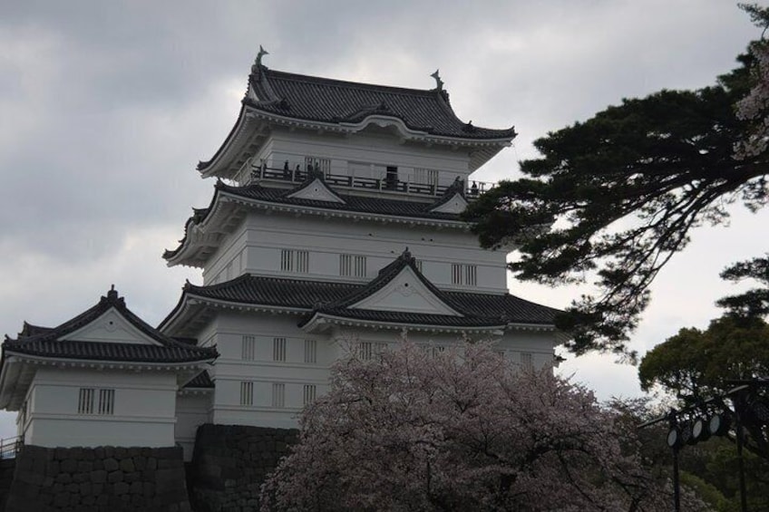 Private Hakone Discovery Castles Shrines and Onsen 4