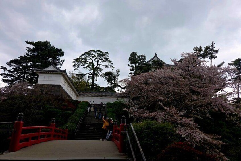 Private Hakone Discovery Castles Shrines and Onsen 5