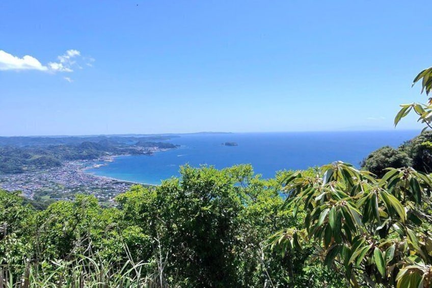 Tokyo Private Chiba Coastal Adventure 4
