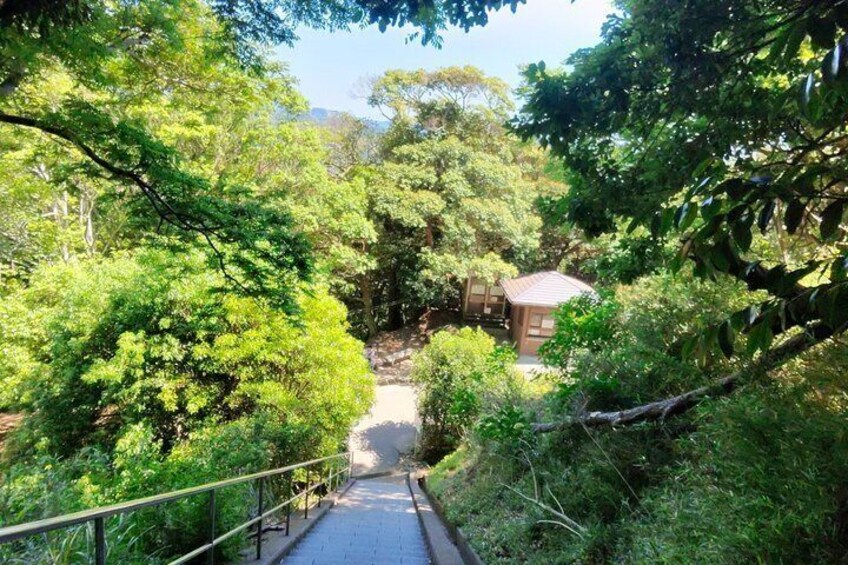 Tokyo Private Chiba Coastal Adventure 2